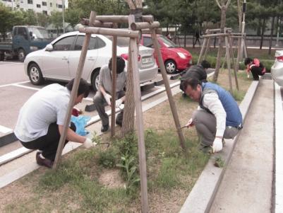 녹지공간 잡초제거&#44; 공직자 해결사들이 떴다!